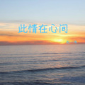 赵一玮 - 此情在心间