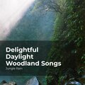 Jungle Rain、Nature and Rain、Deep Rain Sampling - Slippery Jungle Rain
