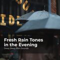 Deep Sleep Rain Sounds、Rain Meditations、Rain Sounds Collection - Sweet Rain Lullaby