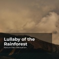 Nature Rain Relaxation、Rain Recorders、Rainfall - Nature Rain Quietude