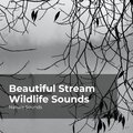 Sleep Sounds of Nature、Nature Sounds Nature Music、Nature Sounds - Powerful Hurricane