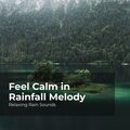 Relaxing Rain Sounds、Rain for Sleep、Rain Drops for Sleep - Serenity in Pouring Rain