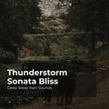 Deep Sleep Rain Sounds、Rain Meditations、Rain Sounds Collection - Skyfall Deep Slumber