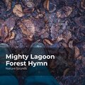 Sleep Sounds of Nature、Nature Sounds Nature Music、Nature Sounds - Earthy Blowing Wind