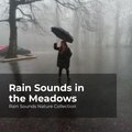 Rain Sounds Nature Collection、ASMR Rain Sounds、Sleepy Rain - Rain Forest Gloom