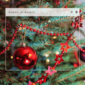 Natale Bianco、Christmas Singles: Carol of the Bells、Single 4 Christmas: Jingle Bells、Christmas Special: I Heard the Bells on Christmas Day - Set di canti natalizi: Notte Silenziosa