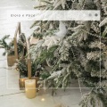 Relaxing Dogs by the Christmas Tree、Single 4 Christmas: A Great And Mighty Wonder、Christmas Carol: Joy To The World、Christmas Singles: Ring The Bells - Perfect Christmas: Deck The Halls