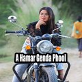 Pawan Roy、Jyoti Sahu - A Hamar Genda Phool