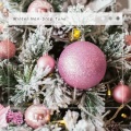 Weihnachten Fischer - Zwölf Weihnachtstage: friedliche Zeit