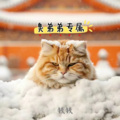 郑大钱 - 少一点天分