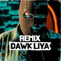 Satow Beats、Snor - DAWK LIYA (feat. Snor) (Remix)