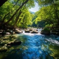 Amade String Orchestra、Fresh Water Sounds for Inner Peace、Meditation Simple - Relaxation in Flowing Waters