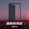 王博学Alon - 想你时风起