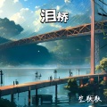 空耿耿 - 泪桥