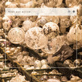 Christmas Holiday Songs - Relaxing Time Collection: O Christmas Tree