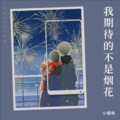 不爱吃鱼的猫 - 我期待的不是烟花