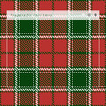 Coro Infantil De Navidad - La Primera Navidad: Paz de Navidad
