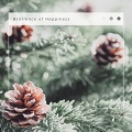 Coro Navidad Blanca - Auld Lang Syne: colección de música celestial