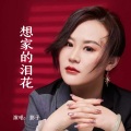 影子 - 想家的泪花