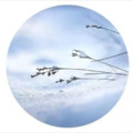 雪落静听 - 雪人