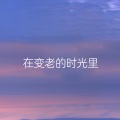 崔叶华 - 在变老的时光里