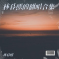 林暮熙 - 天若有情