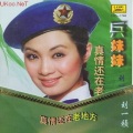 刘一祯 - 一年四季