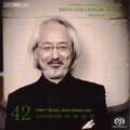 Rachel Nicholls、robin blaze、Gerd Turk、Peter Kooij、Bach Collegium Japan Chorus、Bach Collegium Japan、鈴木雅明、Johann Heermann、Georg Christian Lehms、Paul Fleming - Aria. Meine Seufzer, meine Tranen