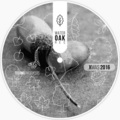 Rishi K. - Shamanic