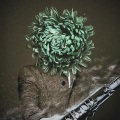 Bonkers Beat Club、Fallen Roses - Smokey