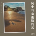 杜永明 - 风中有朵雨做的云