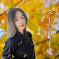 豆豆 - 入了心着了魔
