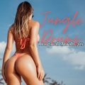Beautiful Sunset Beach Chillout Music Collection - Rhythmic Bliss