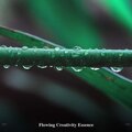 Nature Sound Collection、Rain for Deep Sleep、ohm waves - Falling Rain For Grey Clouds