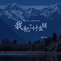杨小壮 - 我犯了什么错