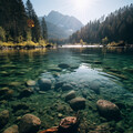 Proyecto Naturaleza Ambiental、Flujo de agua definitivo、Relajante Zen Spa - Susurro Del Ritmo Nocturno De La Corriente