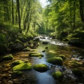 Grabaciones de naturaleza 4D、Sonidos del Río、Meditaciones de nativos americanos - Flujo Vespertino Del Río Tranquilo