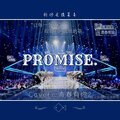 轮回是酸菜鱼 - Promise