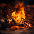Chakra de corazón abierto de 528 Hz、Beatriz Natureza Flores、Meditar Dormir Relajarse - Melodía Binaural Del Fuego Zen
