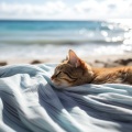 Sonidos de la Naturaleza Música de la Naturaleza、Sonidos de agua y río、Gatos cascabeleo - Armonía De Cascada Con Gatos