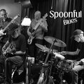 Spoonful.Blues - Sin Rumbo