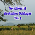 Bettina Frank - Manchmal fällt ein Stern vom Himmel