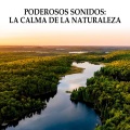 Concentración、Terapia Sonora - Epicentro