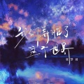 张梦羽 - 我们弄脏了这个世界 DJ