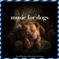 Relax My Dog、Dog Music Therapy、Pet Music Therapy - Meditation Garden