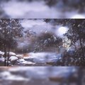 平苹萍 - 泊舟借梦