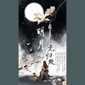平苹萍 - 明月无归处