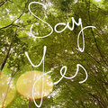 Andrei - Say Yes