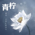 靓崽儿 - 青柠