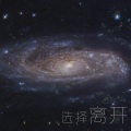 市场白菜、777 - 选择离开
